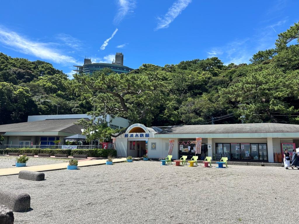 台風一過と田中一家⑦ ミヤザキトーヨー住器のブログ 写真4