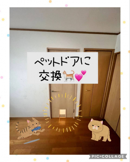 プロテクトの和歌山市　ペットドアに交換🐈💖施工事例写真1