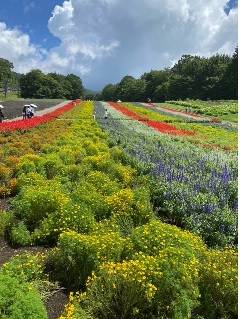 ２つの顔 西幸のブログ 写真1