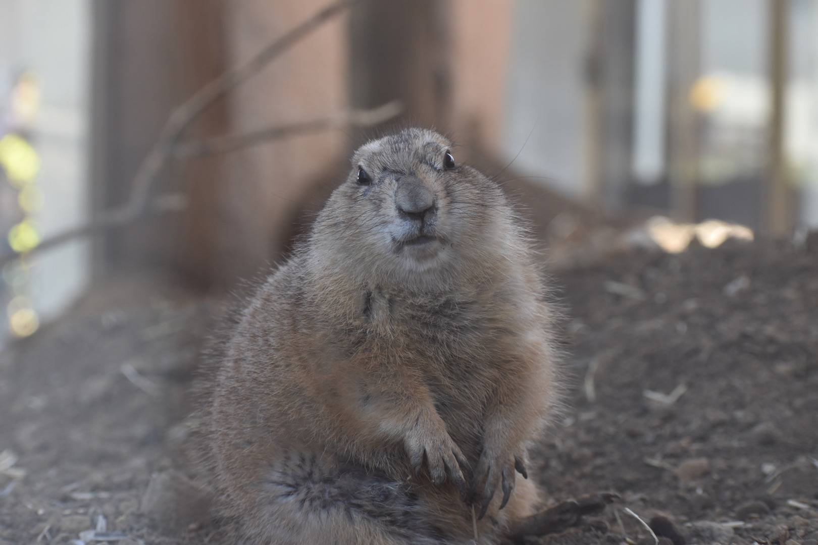 ポカポカ陽気に誘われて 西幸のブログ 写真1