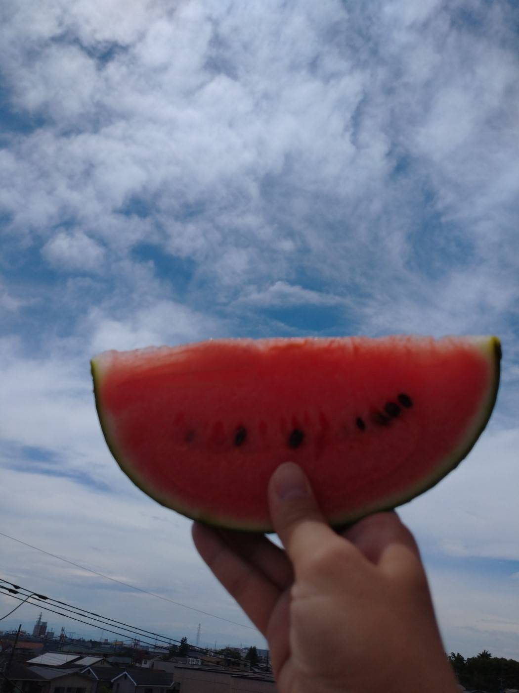 夏といえば 西幸のブログ 写真1