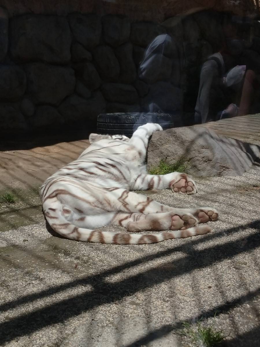 東武動物公園へ！ 西幸のブログ 写真1