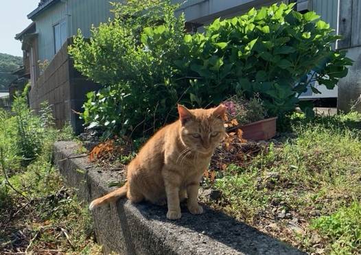 5月2日（火） 花光リフォームのブログ 写真1