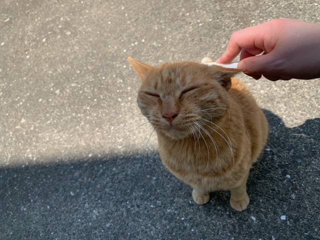 5月11日（木） 花光リフォームのブログ 写真3