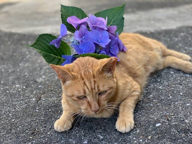 6月16日（金） 花光リフォームのブログ 写真3