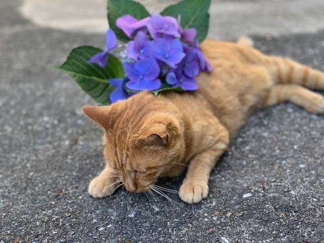 6月16日（金） 花光リフォームのブログ 写真4