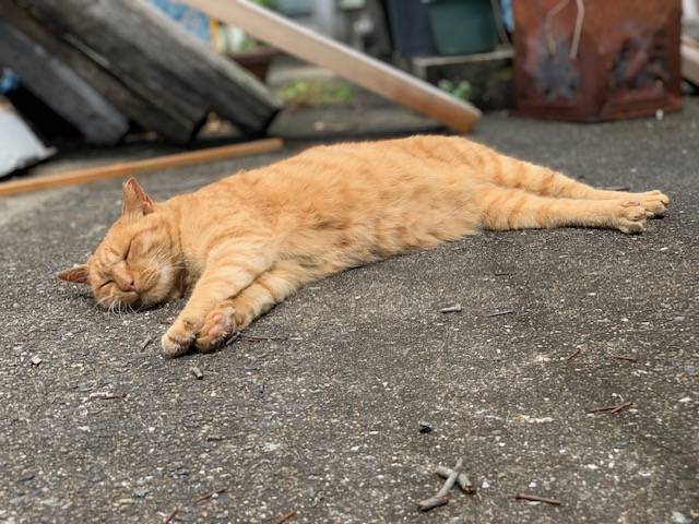 6月22日（木） 花光リフォームのブログ 写真4