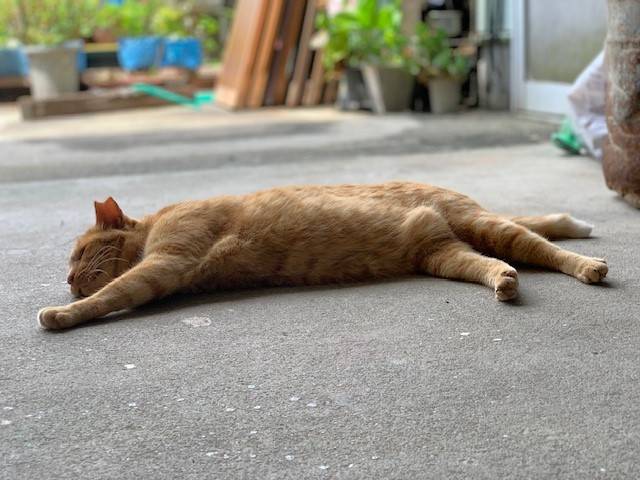 7月12日（水） 花光リフォームのブログ 写真4