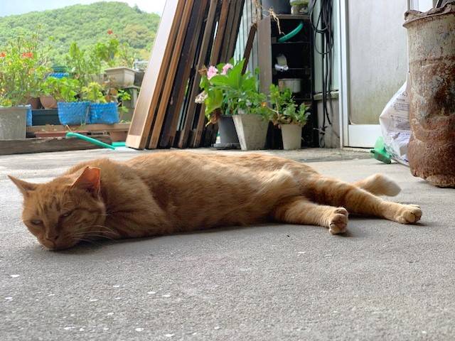 7月12日（水） 花光リフォームのブログ 写真3