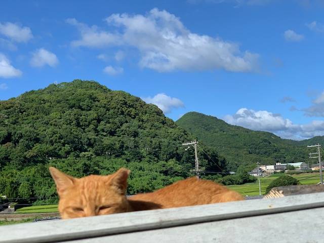 8月10日（木） 花光リフォームのブログ 写真2