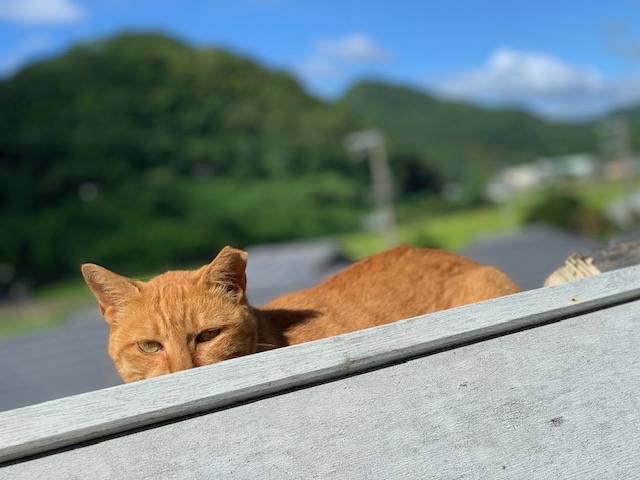 8月10日（木） 花光リフォームのブログ 写真1