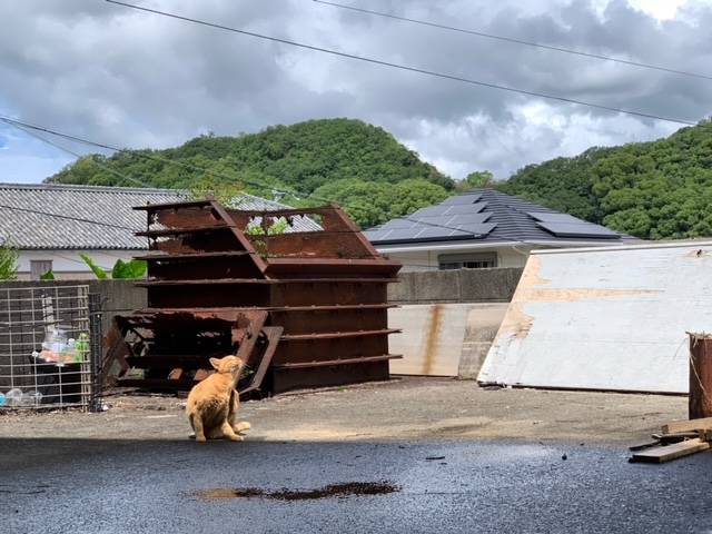 8月24日（木） 花光リフォームのブログ 写真1