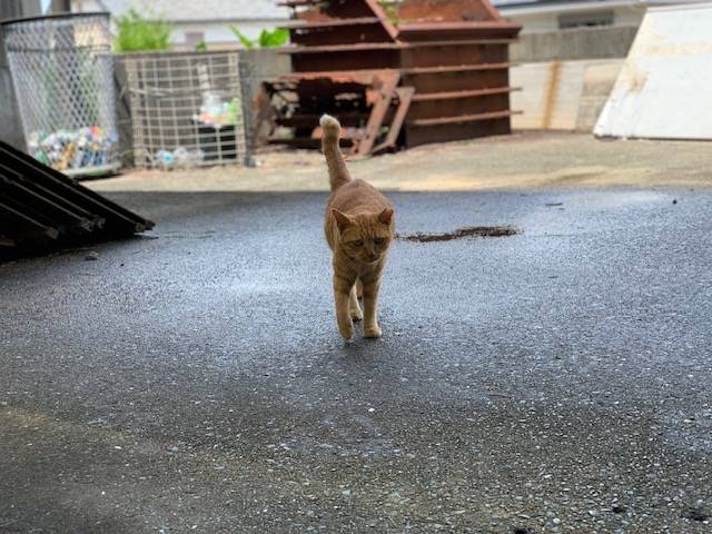 8月24日（木） 花光リフォームのブログ 写真2