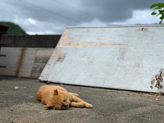 9月12日（火） 花光リフォームのブログ 写真2