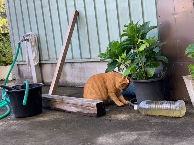 9月13日（水） 花光リフォームのブログ 写真1