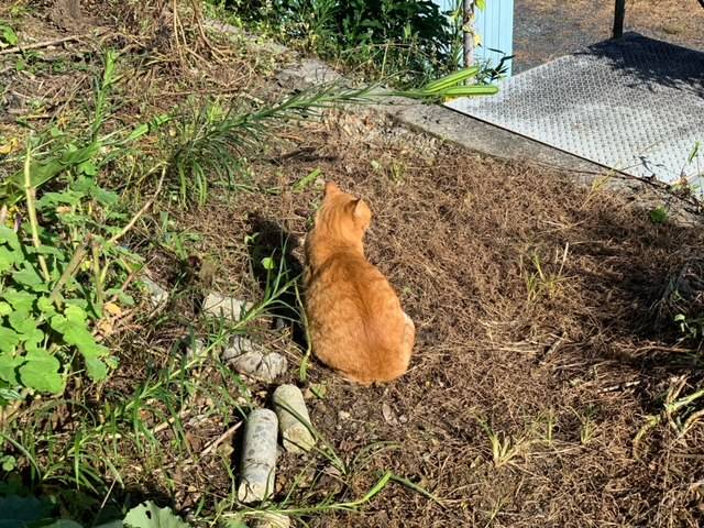 9月25日（月） 花光リフォームのブログ 写真1