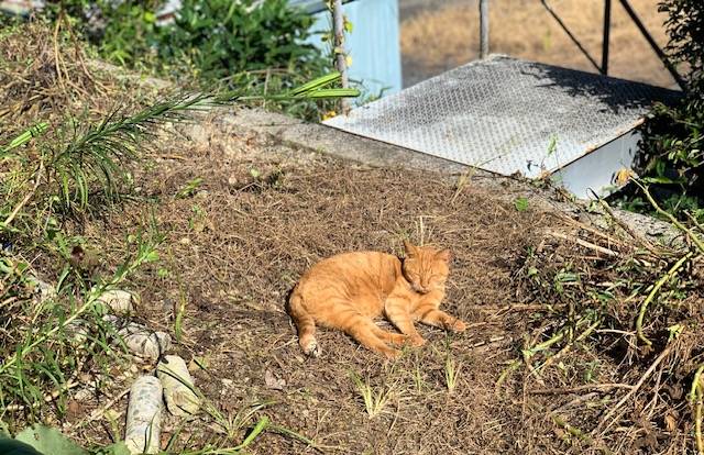 9月25日（月） 花光リフォームのブログ 写真2