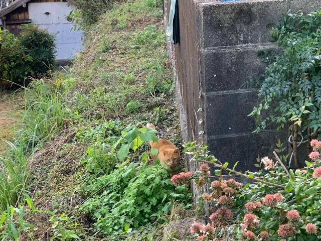 10月27日（金） 花光リフォームのブログ 写真1