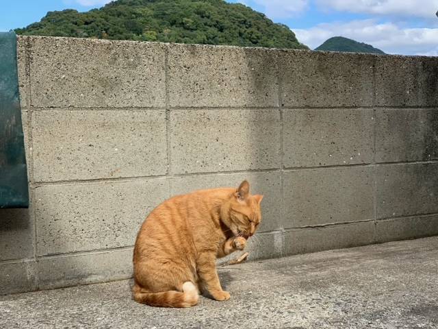 10月30日（月） 花光リフォームのブログ 写真2