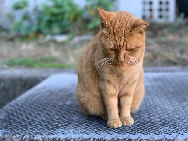 11月8日（水） 花光リフォームのブログ 写真2