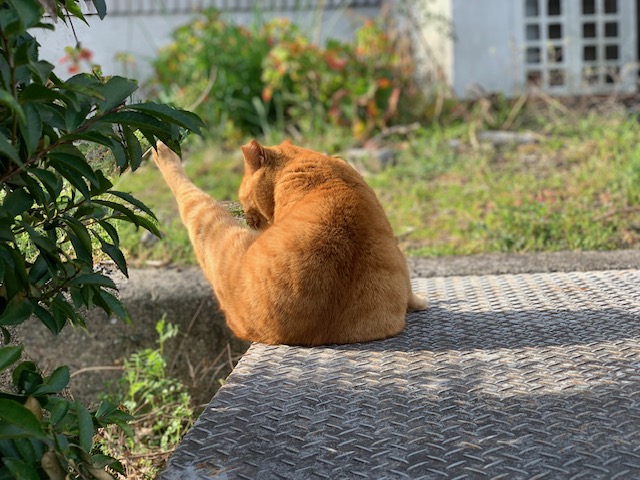 3月19日（火） 花光リフォームのブログ 写真2