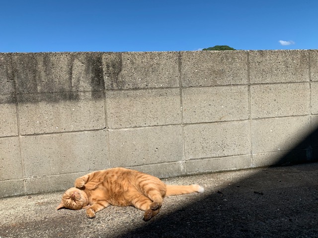 10月10日（木） 花光リフォームのブログ 写真6