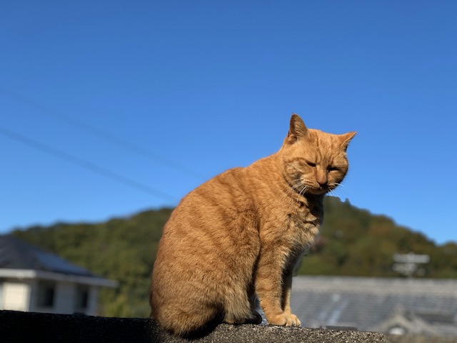 1月17日（水） 花光リフォームのブログ 写真1