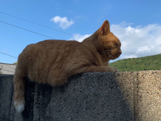 11月13日（水） 花光リフォームのブログ 写真1