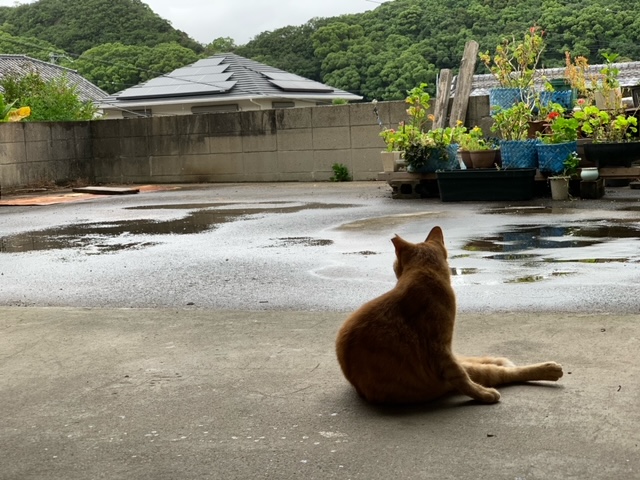 7月10日（水） 花光リフォームのブログ 写真2