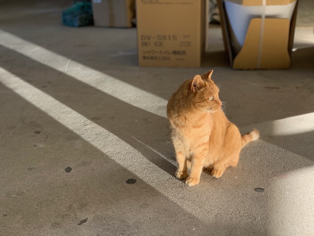 12月8日（金） 花光リフォームのブログ 写真1