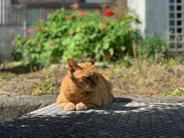 5月29日（水） 花光リフォームのブログ 写真1