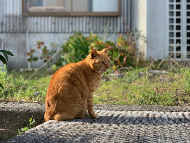 3月19日（火） 花光リフォームのブログ 写真3