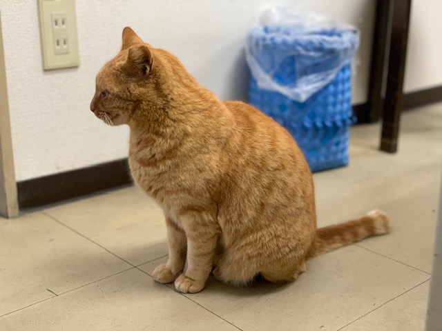 5月8日（水） 花光リフォームのブログ 写真1