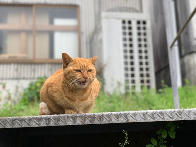 4月5日（金） 花光リフォームのブログ 写真1