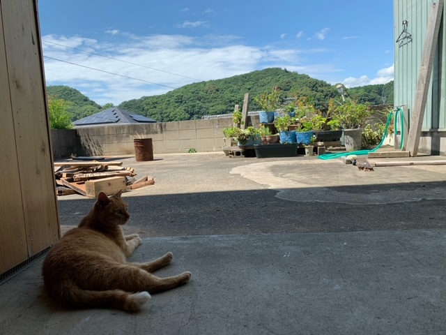 7月4日（木） 花光リフォームのブログ 写真1