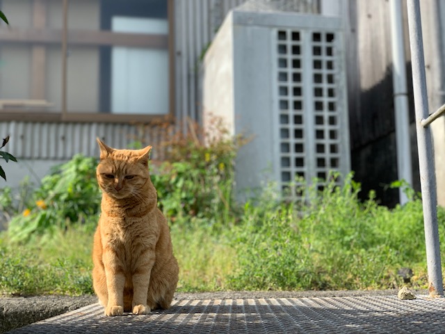 4月11日（木） 花光リフォームのブログ 写真1