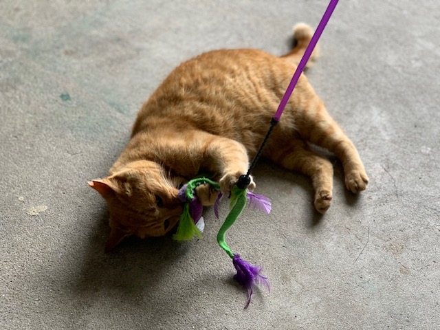 6月25日（火） 花光リフォームのブログ 写真2