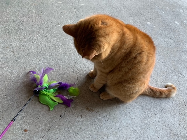 1月30日（火） 花光リフォームのブログ 写真1