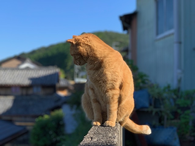 11月7日（木） 花光リフォームのブログ 写真4