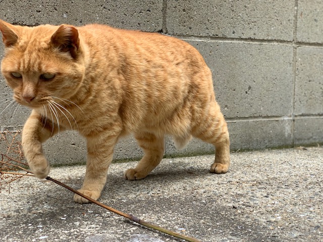 5月23日（木） 花光リフォームのブログ 写真2