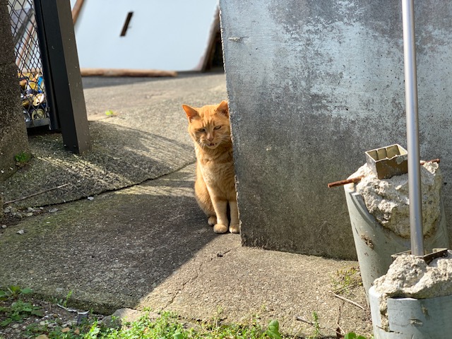 5月17日（金） 花光リフォームのブログ 写真1