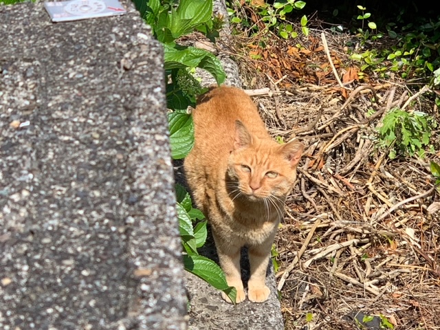 5月30日（木） 花光リフォームのブログ 写真3