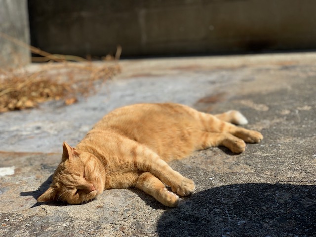 5月18日（土） 花光リフォームのブログ 写真1