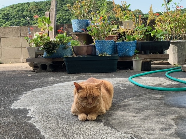 6月19日（水） 花光リフォームのブログ 写真3