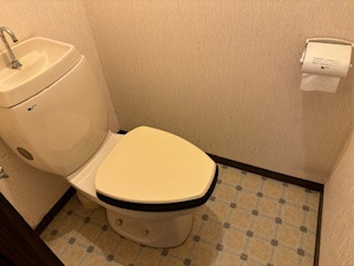 松本トーヨー住器の愛南町　トイレリフォームの施工前の写真1