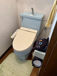 松本トーヨー住器の愛南町　トイレリフォーム　補助金活用の施工前の写真1