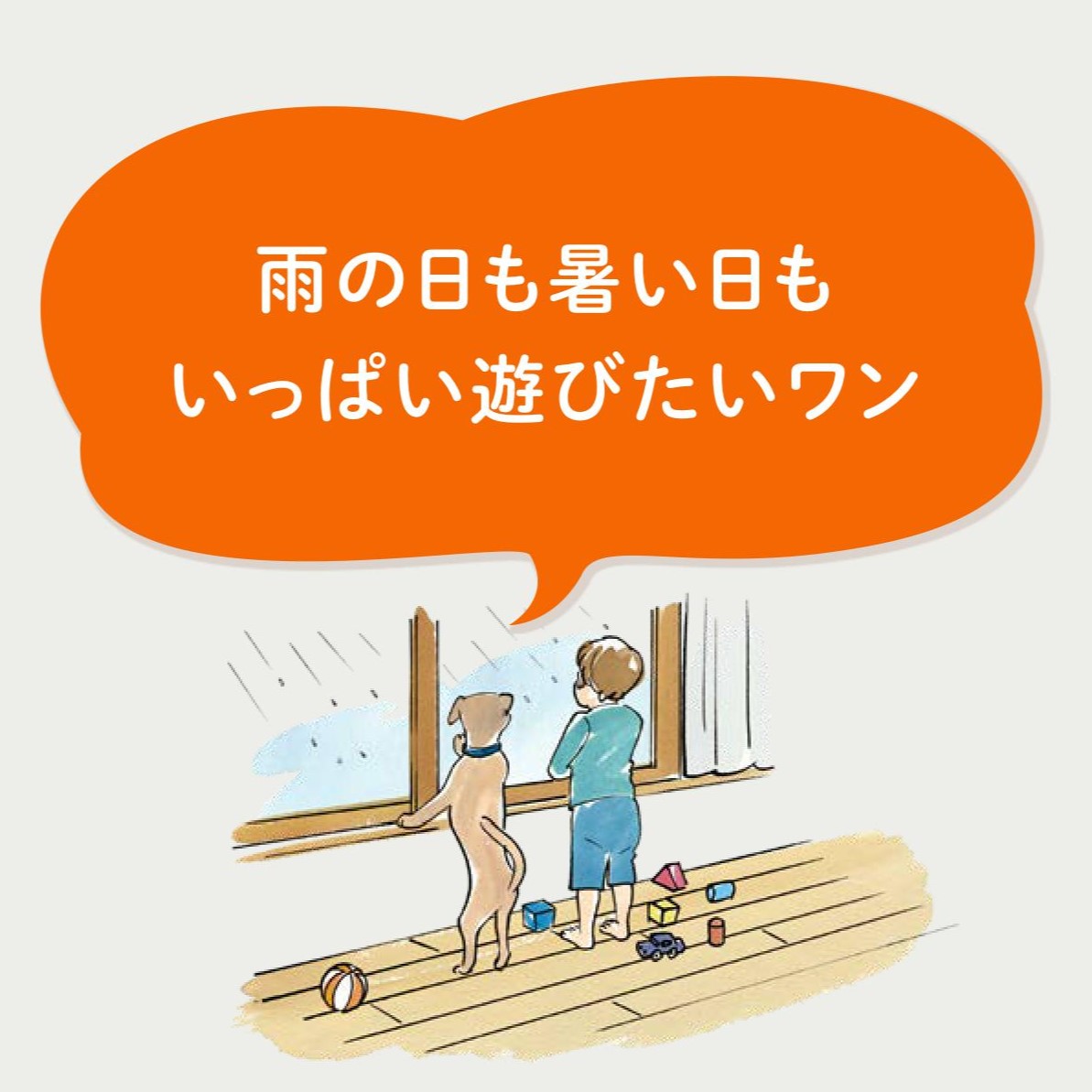 ワンちゃんネコちゃんにも優しいリフォームしませんか？ペットリフォームアイデア５選 粕谷のブログ 写真16