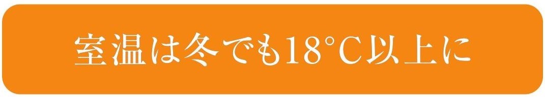 粕谷の茨城県古河市【先進的窓リノベ】内窓設置で、もう寒いのを我慢しない！の施工事例詳細写真1