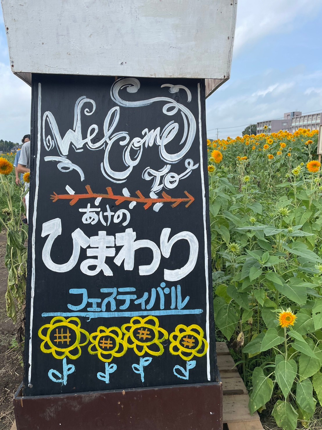 あけのひまわりフェスティバル 大泉トーヨー住器のブログ 写真1