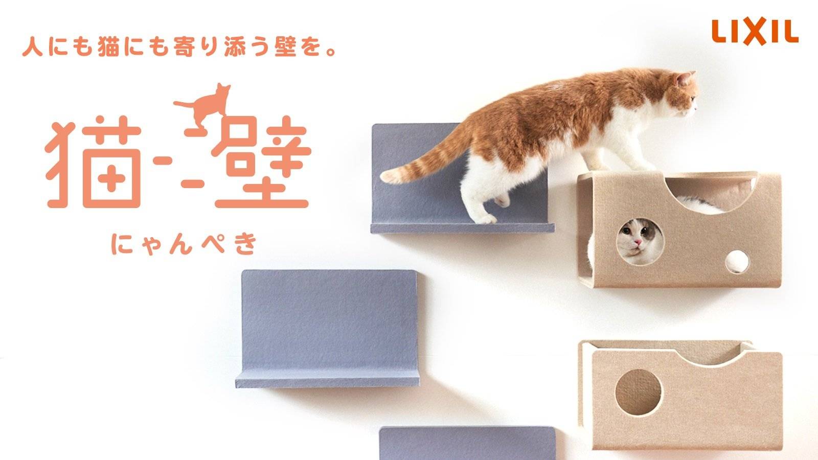 猫壁（にゃんぺき）って知ってますか？ ワタナベトーヨー住器のブログ 写真1